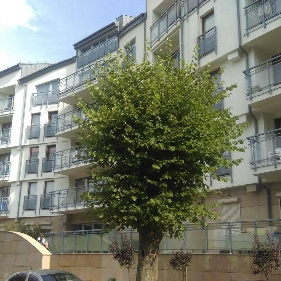 Apartament Flauta, Villa Marea Miedzyzdroje Dış mekan fotoğraf